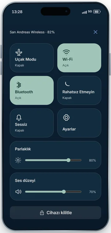 Denetim Merkezi