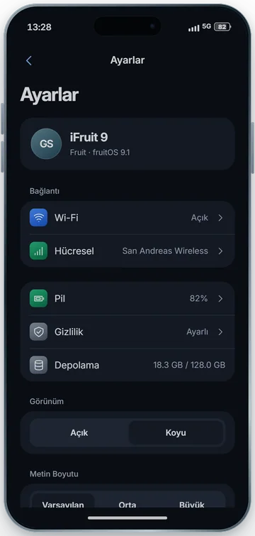 Ayarlar